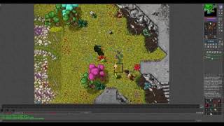 Tibia Summer Update 2017 : Exploring feyrist (new area)