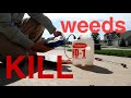 How To Kill Weeds In The Lawn : Spraying Weeds