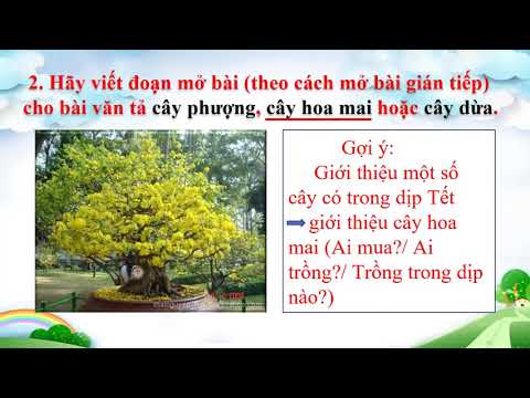 Bài giảng tlv tuần 25: lt xây dựng mở bài