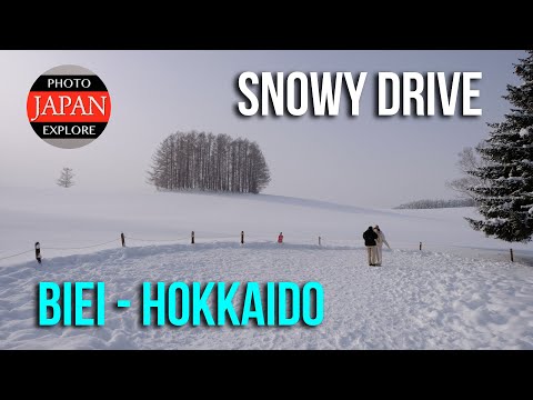 Hokkaido Japan in Winter - Snowy Drive in Biei