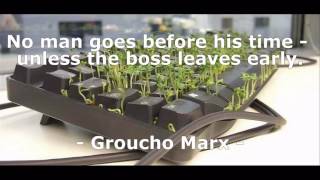 Funny Work Quotes I Short Quotes
