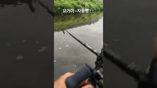 배스낚시의 자동빵!! #짬낚 #배스 #bassfishing #힐링낚시 #진주배스 #bass #배스낚시 #fishing #sportfishing