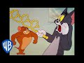 Tom y Jerry en Latino | El monstruoso Jerry | WB Kids