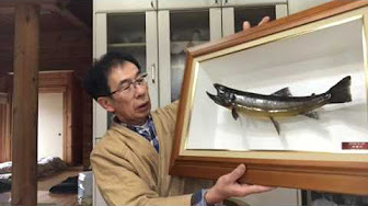魚の剥製の作り方 Youtube 魚の剥製の作り方 Youtube