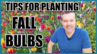 Tips for Planting Fall Bulbs (Spring Flowering)