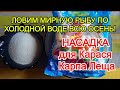 На что ловить мирную рыбу Осенью! Рыбалка по Холодной Воде всю Осень на Карася Карпа Леща! Лайфхаки