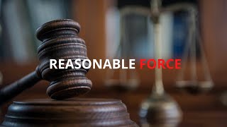 Reasonable Force