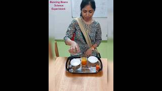 Celebrity Dancing Beans Science Experiment || Science for kids #homeschoolingwithmom  #scienceexperiment Profile