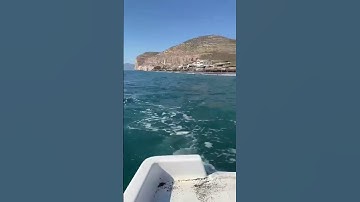 خواتيم سورة البقرة | الشيخ سعود الشريم #سعود_الشريم #سورة_البقرة