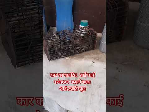 #relatable #skit #comedy #funny #shorts #pov