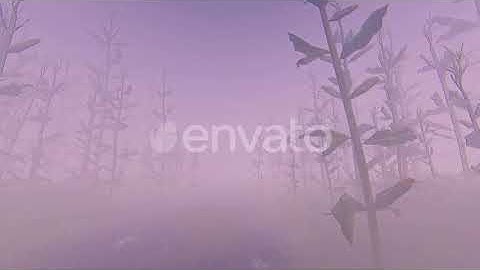 Fog And Forest | Motion Graphics - Envato elements