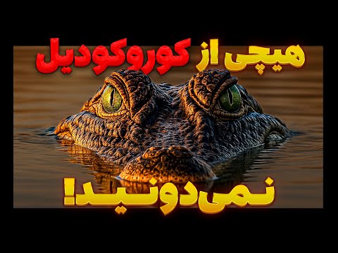 کروکودیل آب شور باهوش تر از هر خزنده ای ضد گلوله و نوه دایناسورها