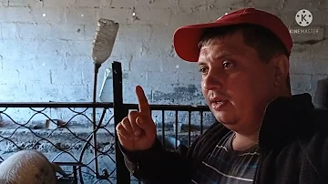Про Витамины и Железа для Свиней ..