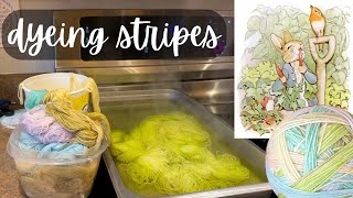 Dyeing a Peter Rabbit self striping colorway