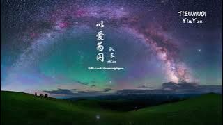 [Vietsub] 以爱为囚 - 队长Alan | Ngục tù tình yêu| 30 minutes  #中国歌曲 #tieumuoiyinyue