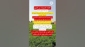 المنجيات من الضيق🤲🤔🕌 أدعية القرآن الكريم 🕋 اللهم امين🙏 صلوا عليه ﷺ