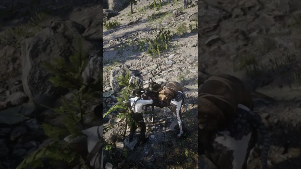 ¿CÓMO CAZAR UN UAPITI EN PERFECTO ESTADO EN RED DEAD REDEMPTION 2?