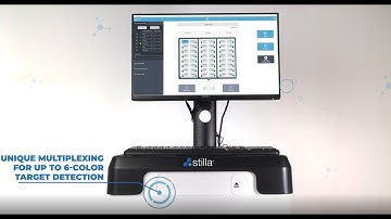 6-color naica®  system workflow