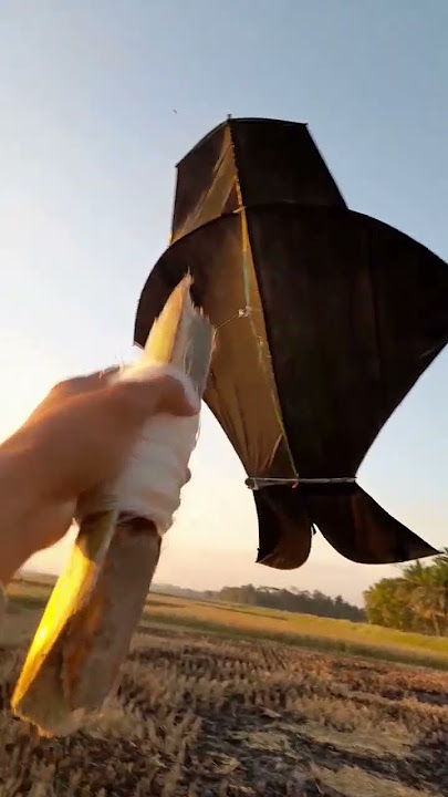 duel nih #viral #fypシ #vlog #dailyvlog #burung #merpati #layangan