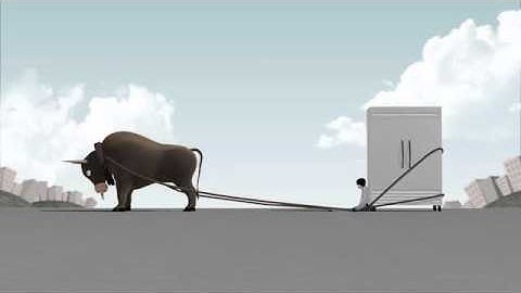 Funny Shorts - 04 - Bull | VideoHive Templates | After Effects Project Files