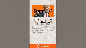 MicroStrategy Bitcoin Gains | $8.4B Profit 2024 | Michael Saylor BTC Update