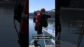 Why the mandatory watercraft inspection on Lake Tahoe is crucial to the lake s health