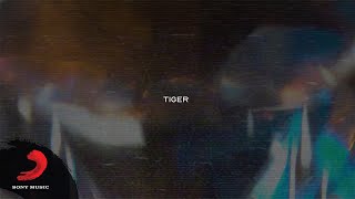 Paolo de Santis - Tiger (Lyric Video) Resimi