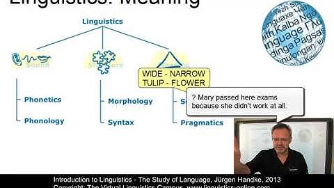 LIN101   The Study of Language