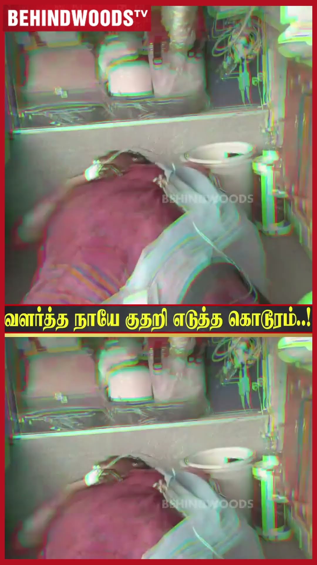 OMG ? 'சொந்த புள்ளயே இப்படி பண்ண எப்படி..?' குதறி எடுத்த  வளர்த்த நாய் ?