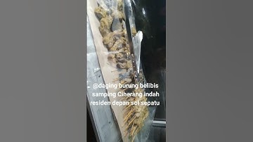 jgan lupa mampir ya gaes @daging burung belibis laek coment subscribe