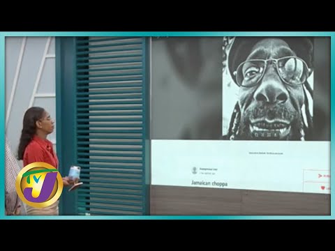 Ask the AI | TVJ Smile Jamaica