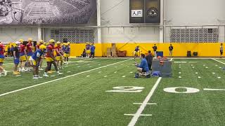 Pitt's QBs, RBs and WRs work in spring camp | Pitt football on Panther-Lair.com