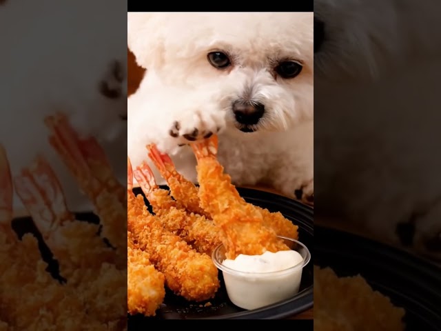 【ASMR】Super Crunchy Fried Shrimp Mukbang 🍤✨ | サクサク！エビフライ #cute #咀嚼音揚げ物 #puppy