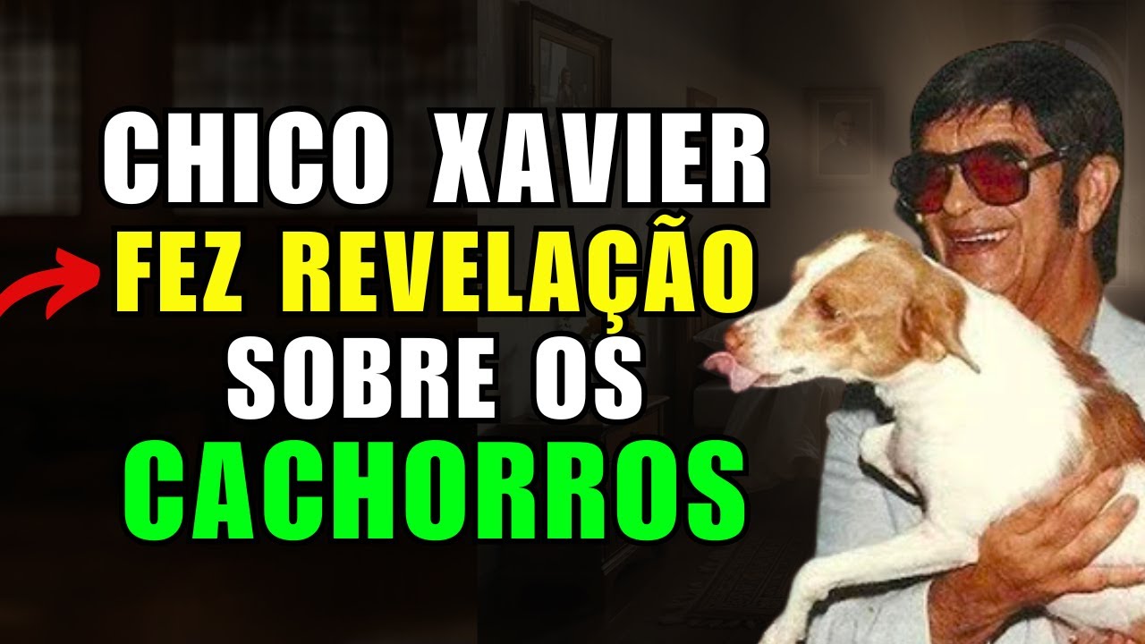 Olha o Que Chico Xavier Revelou Sobre os Cachorros Na Visão Espírita
