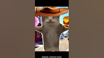 Happy Cat in different languages USA