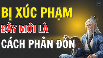 Bị XÚC PHẠM: Đừng Nổi Giận – Đây Mới Là Cách Người Khôn Lật Ngược Tình Thế! | GÓC NHÌN VẠN NĂNG