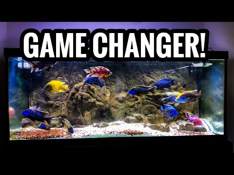 Video: Kipp aparat: jednostavan uređaj za akvarij