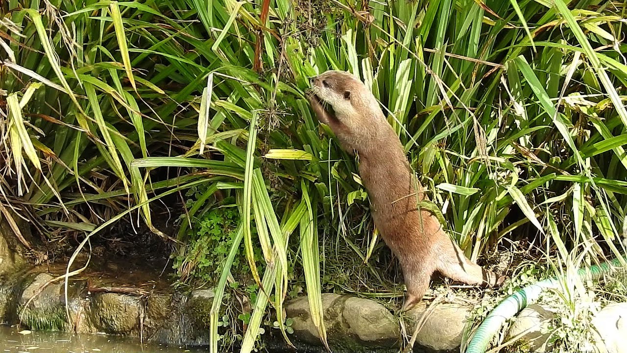 A Visit to Washington Wetlands