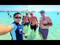 Sandbar Party with Wild Stingrays!