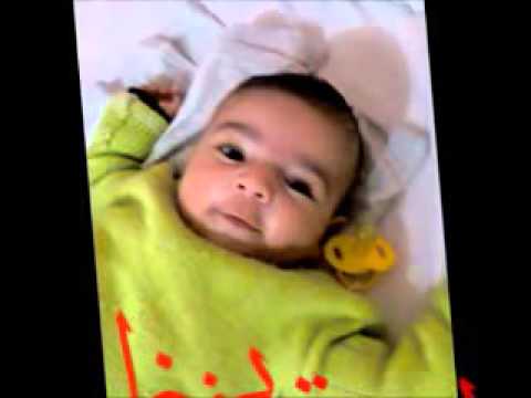 تبارك الخلاق فيما خلق