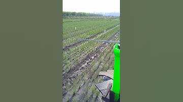 Thumbnail of The best electric sprayer for shallot farmers, dual pump 12 Volt with battery 12 ampere