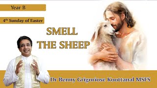 4th Sunday of Easter: SMELL THE SHEEP, by Rev Fr Benny Grigoriose Koottanal MSFS