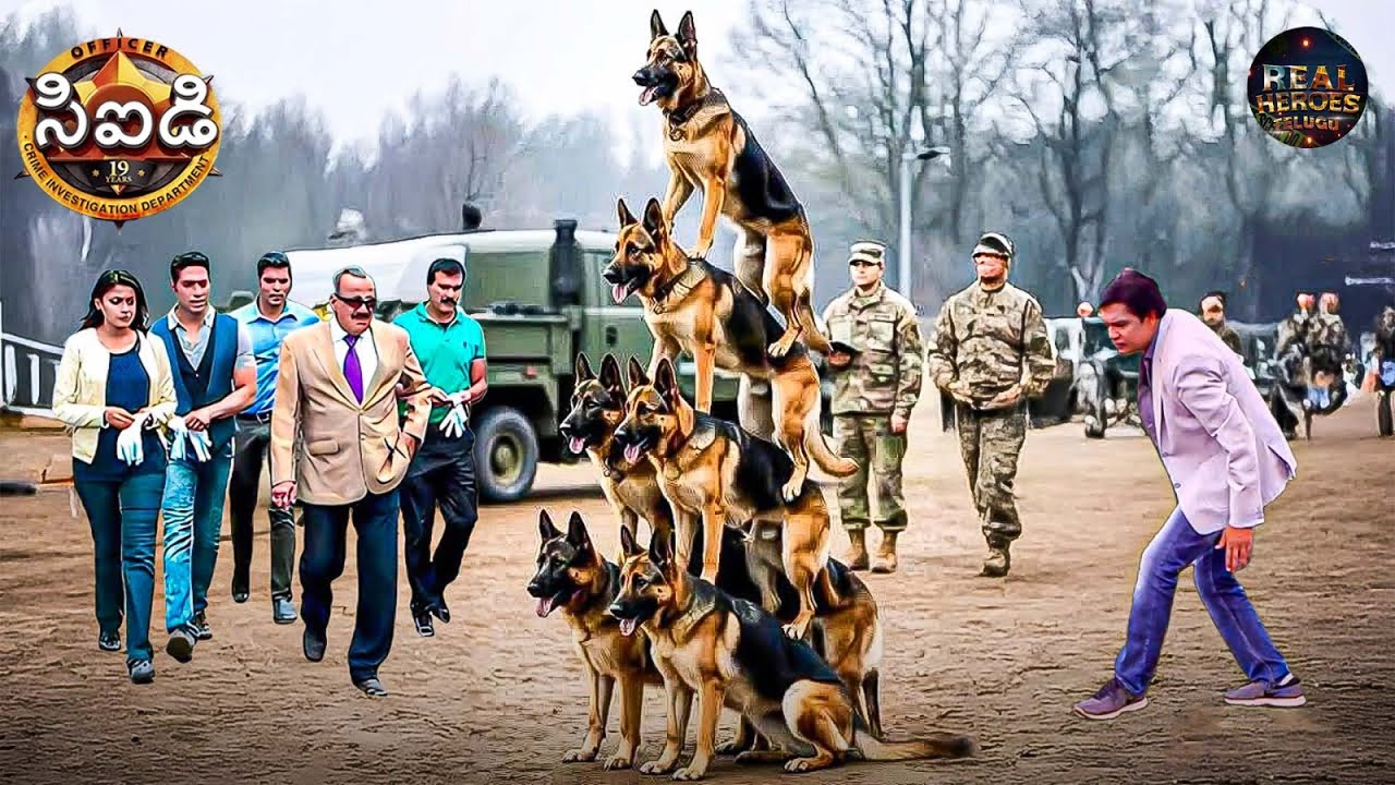 CID సహాయం కోసం తొలి సారి ఆర్మీ కుక్కలను పిలిచింది ఈ దర్యాప్తులో ప్రత్యేకమైనది ఏమిటి | CID Telugu