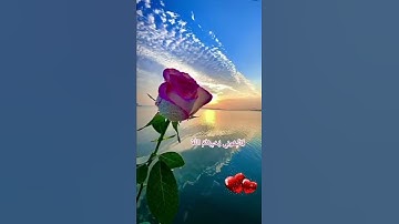 قل إن كنتم تحبون الله فاتبعوني يحببكم الله - تلاوة خاشعة❤راحة نفسية