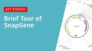 Brief Tour of SnapGene [Archived]