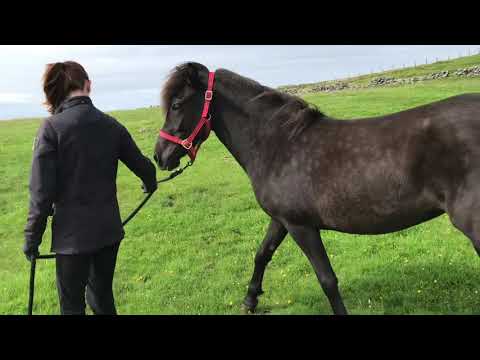 Lilja from Thordale GB2017201002 - 8.8.19 camera iphone 8 plus apk