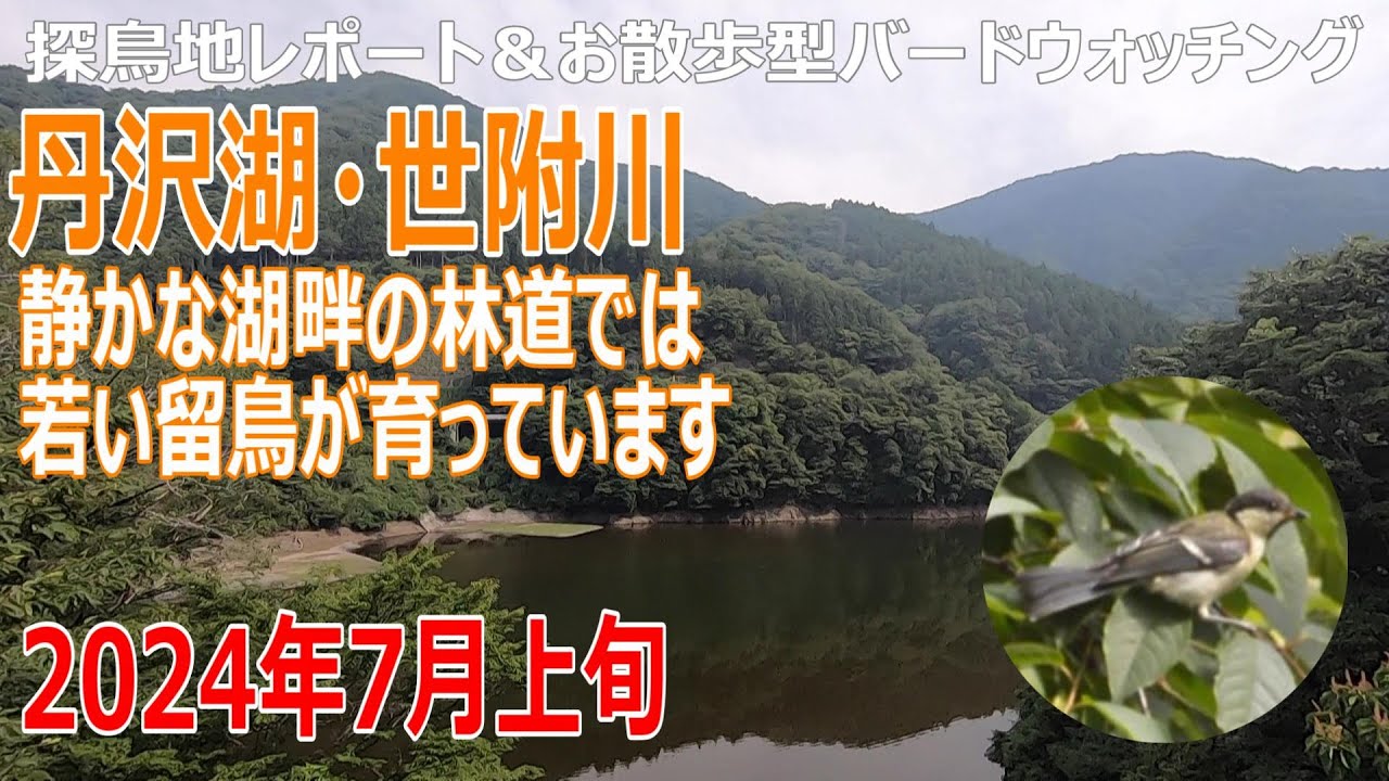 世附川とは | 世附川 ヤマレコ , 山行報告 丹沢世附川 水ノ木沢沢歩き – UEMGF