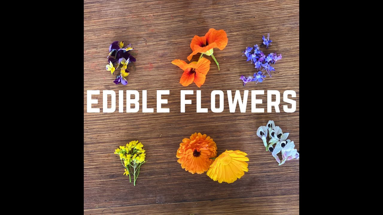 Types of Edible Flowers & How to Use Them