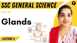 Glands and Hormones in Human Body | General Science | SSC | Parcham screenshot 3