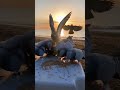 عليك بالتأني وأعطي دون مني